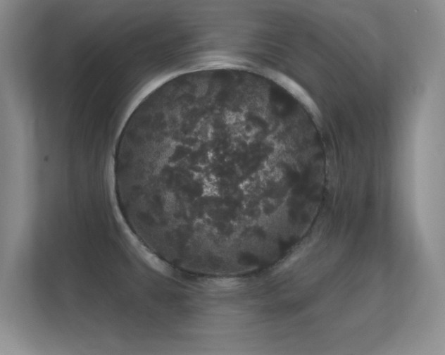 X0000112161431200908141225