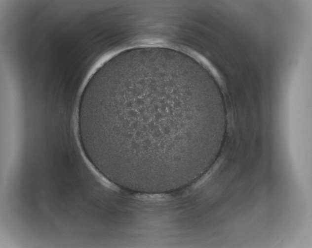 X0000112161432200908141225