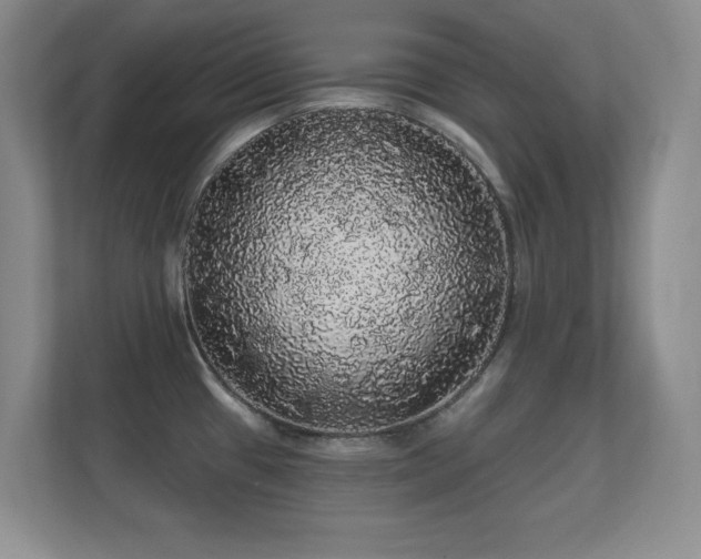 X0000112161433200908141225