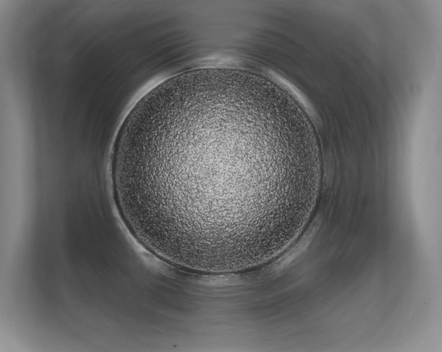 X0000112161434200908141225