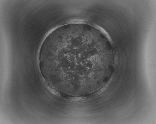 X0000112161435200908141225