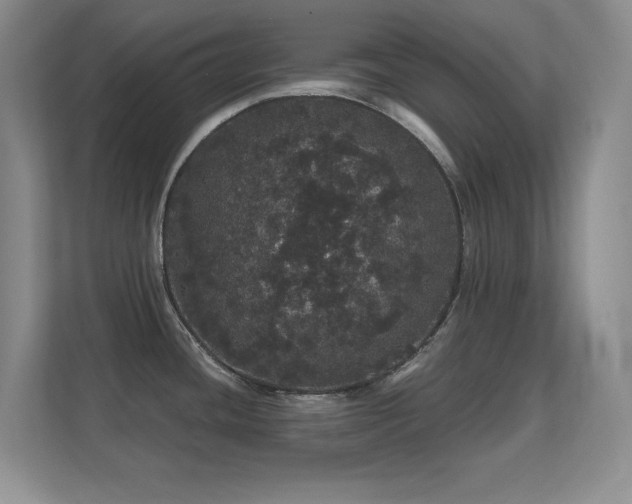 X0000112161436200908141226