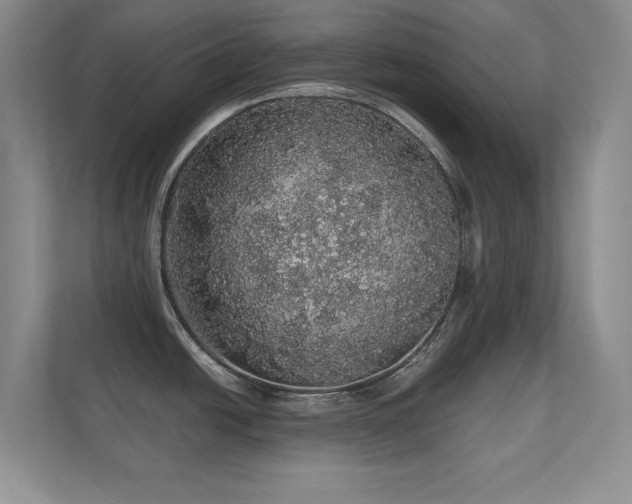 X0000112161438200908141226