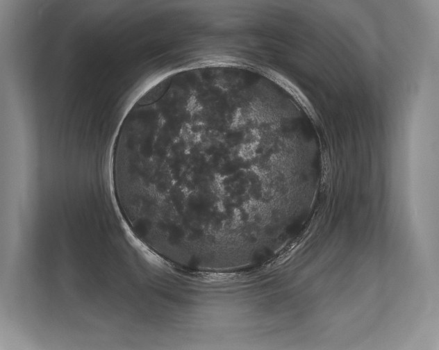 X0000112161439200908141226