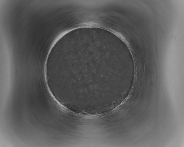 X0000112161440200908141226