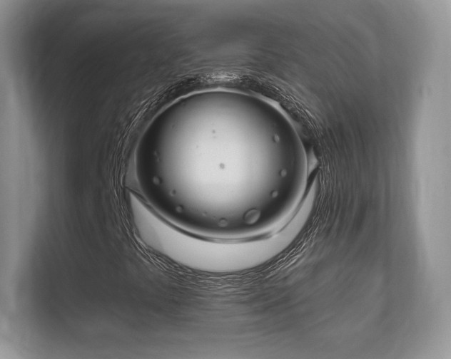 X0000112161441200908141225