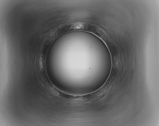 X0000112161442200908141225