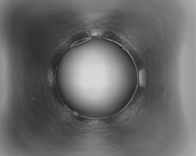 X0000112161443200908141225