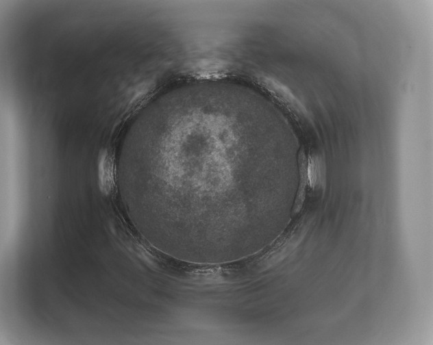 X0000112161444200908141225