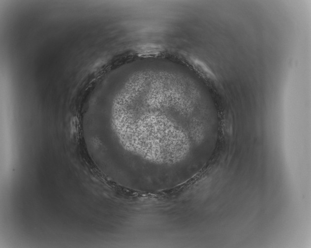 X0000112161445200908141225
