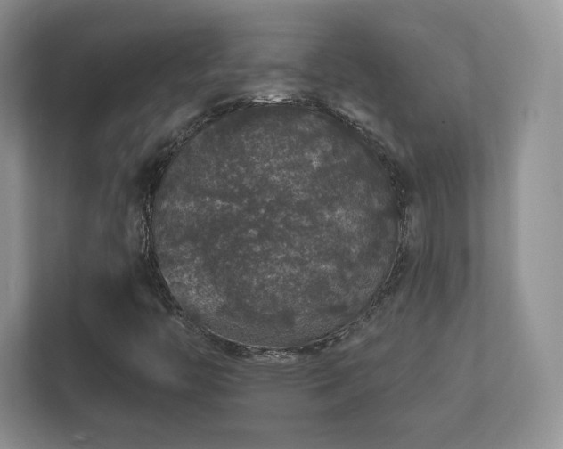 X0000112161446200908141225
