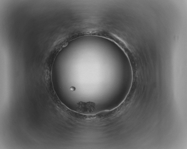 X0000112161447200908141225