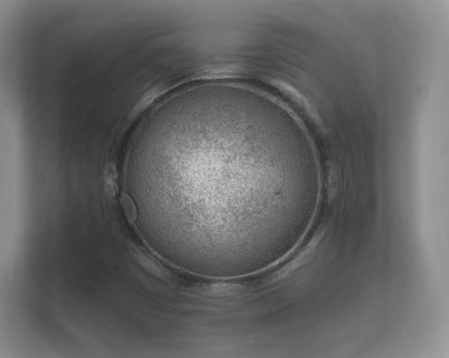 X0000112161449200908141225