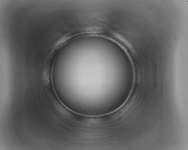 X0000112161451200908141225
