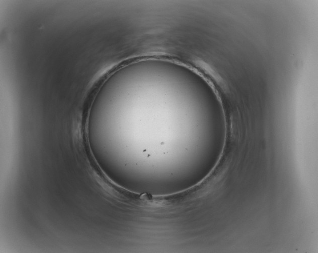 X0000112161452200908141225