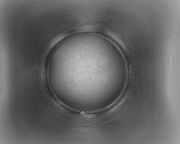 X0000112161453200908141225
