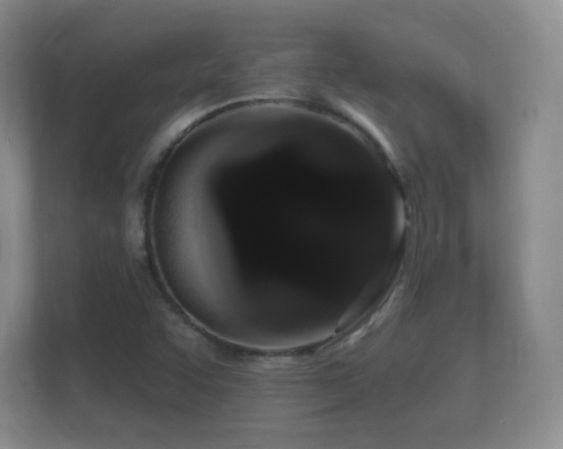X0000112161455200908141225
