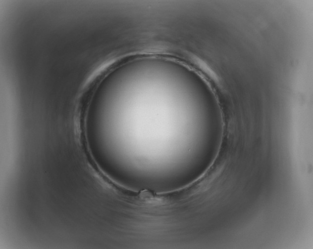 X0000112161456200908141225