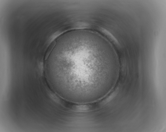 X0000112161457200908141225