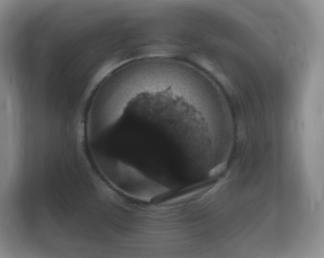 X0000112161459200908141225