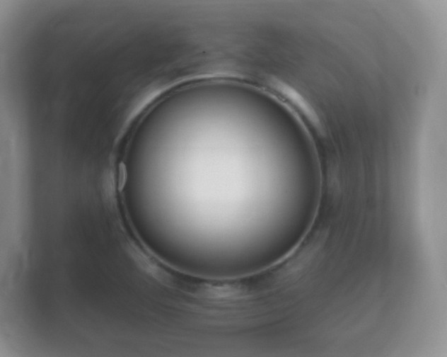 X0000112161460200908141225