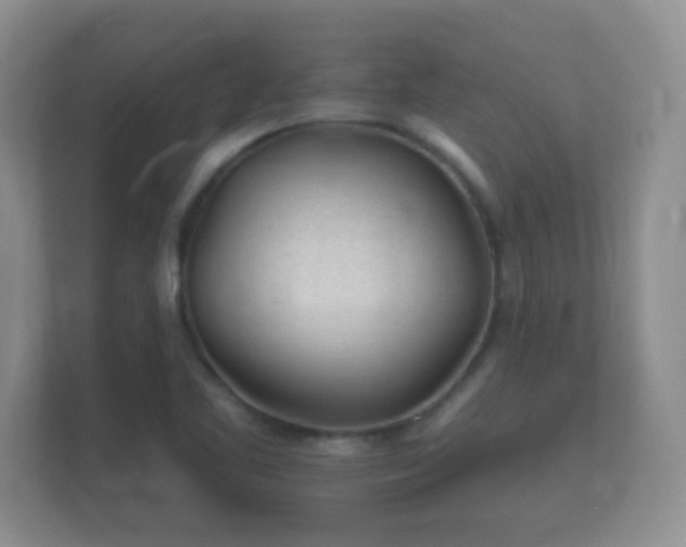 X0000112161461200908141225