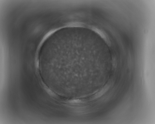 X0000112161462200908141225