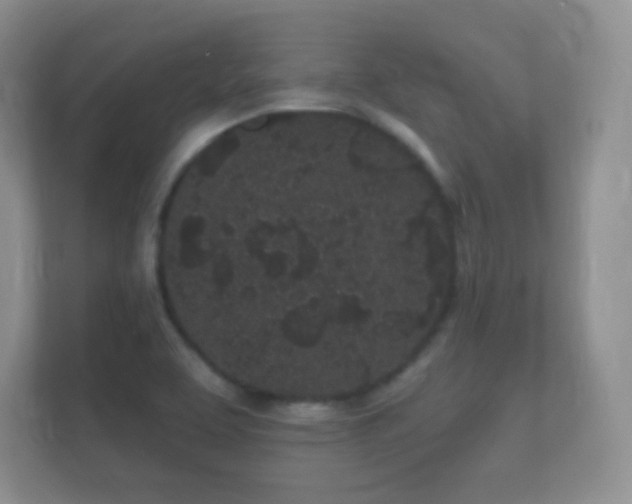 X0000112161463200908141225