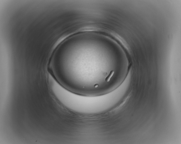 X0000112161465200908141225