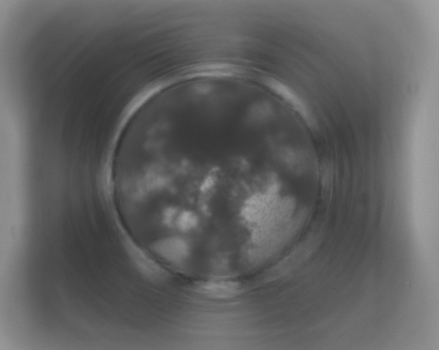 X0000112161466200908141225