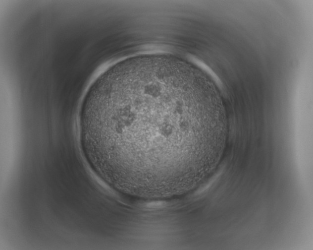 X0000112161467200908141225