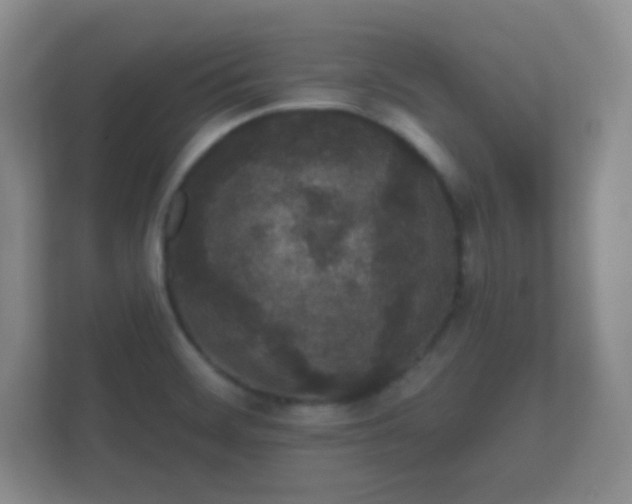 X0000112161468200908141225