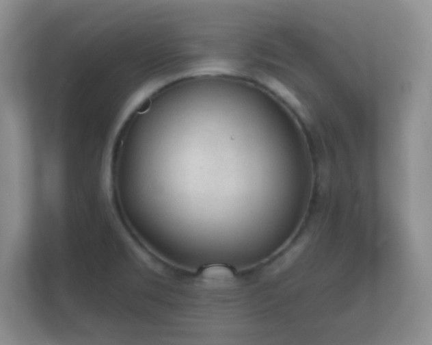 X0000112161469200908141225