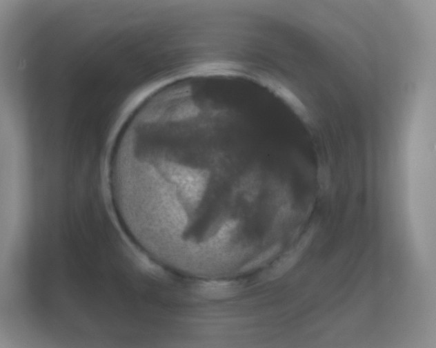 X0000112161470200908141225