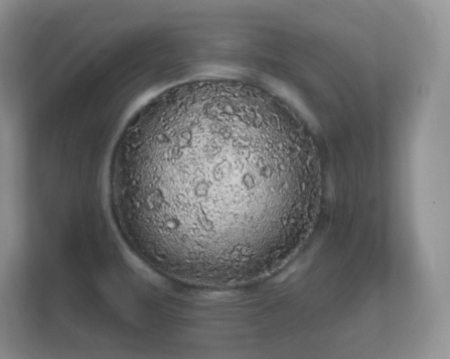 X0000112161471200908141225