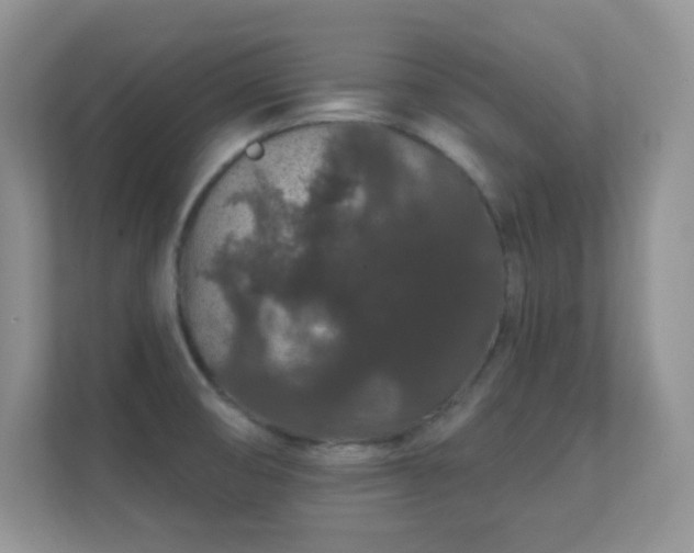 X0000112161474200908141225