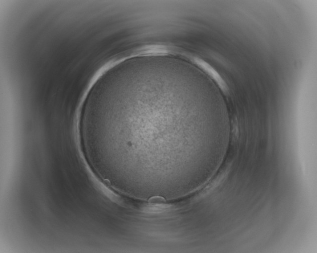 X0000112161475200908141225