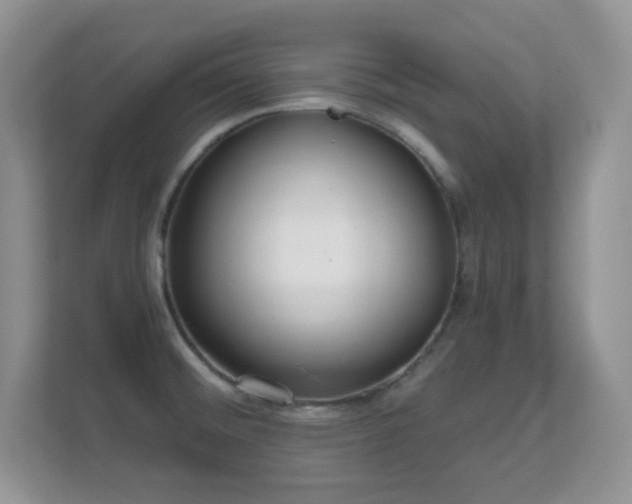 X0000112161476200908141224