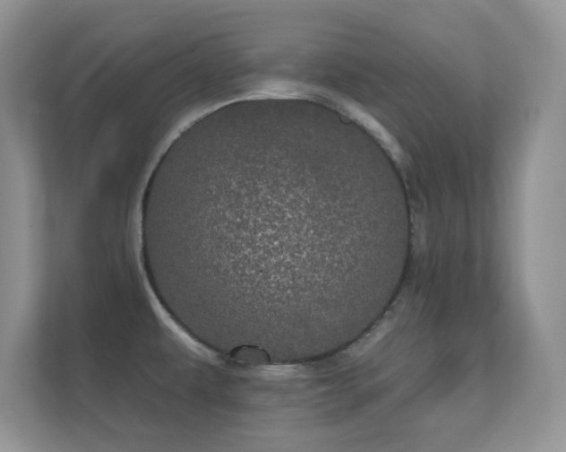 X0000112161479200908141224