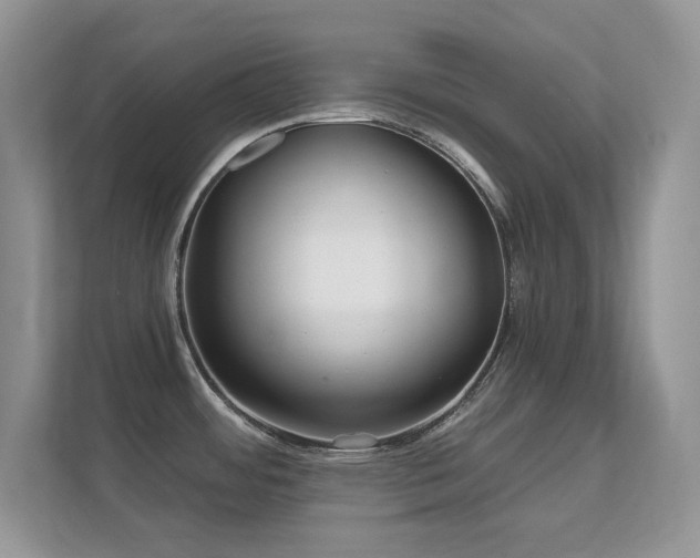 X0000112161484200908141224