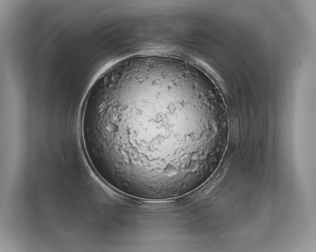 X0000112161487200908141224