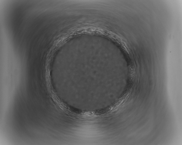 X0000112161489200908141224