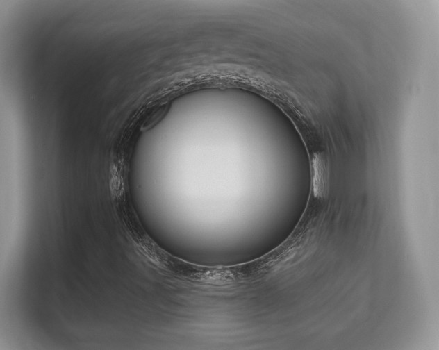 X0000112161491200908141224