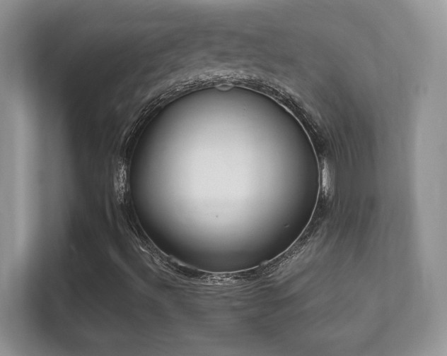 X0000112161492200908141224