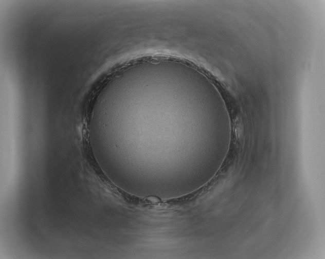 X0000112161495200908141224