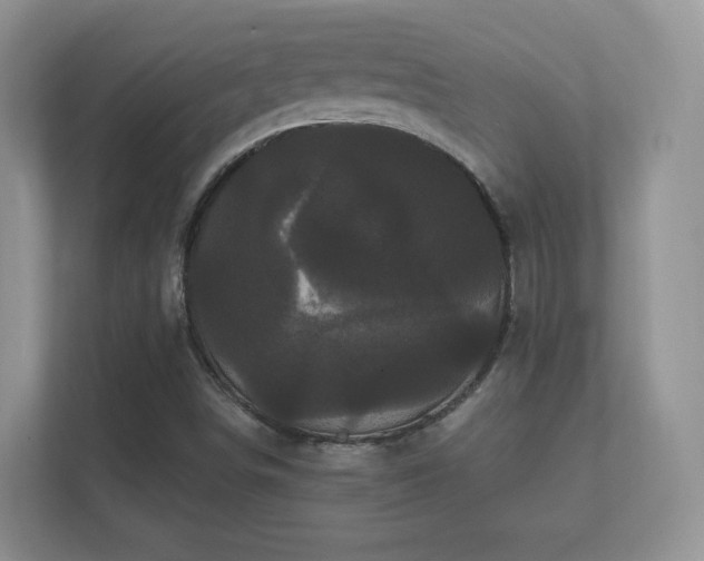 X0000112161498200908141224
