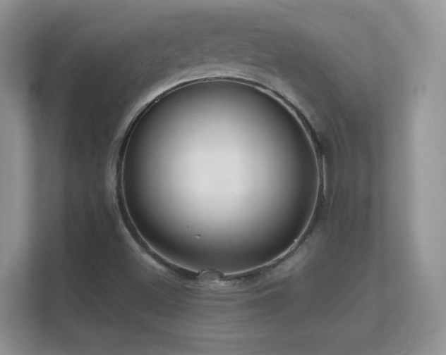 X0000112161500200908141224