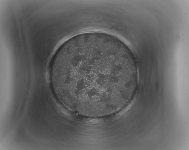 X0000112161501200908141224