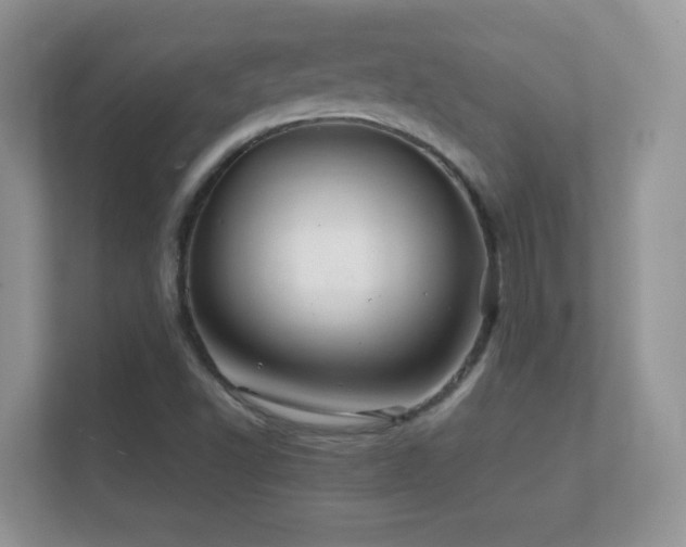 X0000112161502200908141224