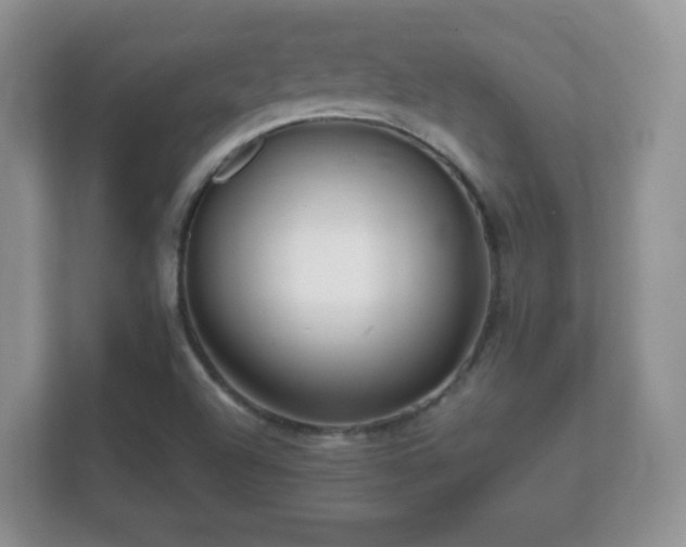 X0000112161504200908141224